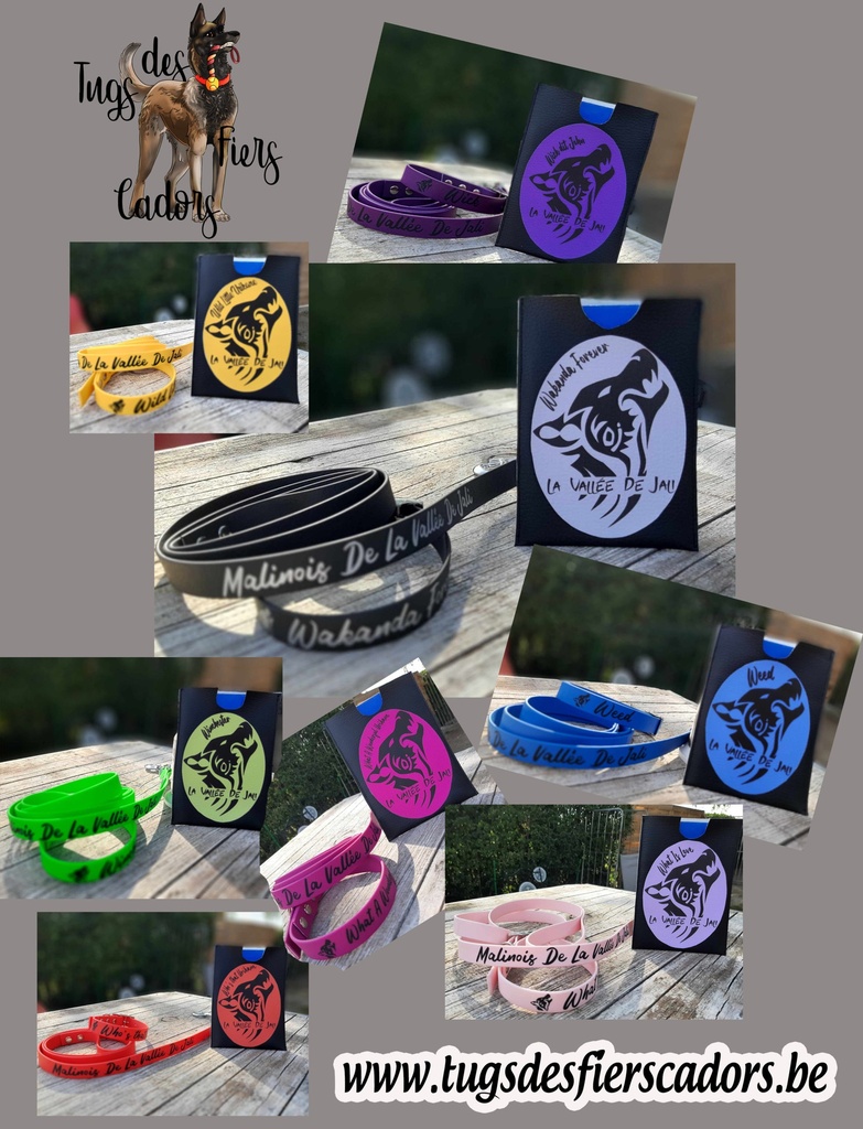 Kit chiot 5 3