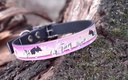 Kit chiot 3 3