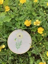 Bouton d'or (Ce fichier est offert à l’achat d’un fichier de broderie) 4