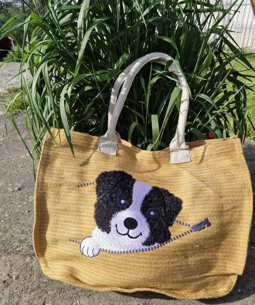 Border Collie Coucou 2