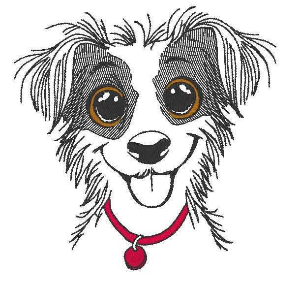 Jack Russell Dudule 2