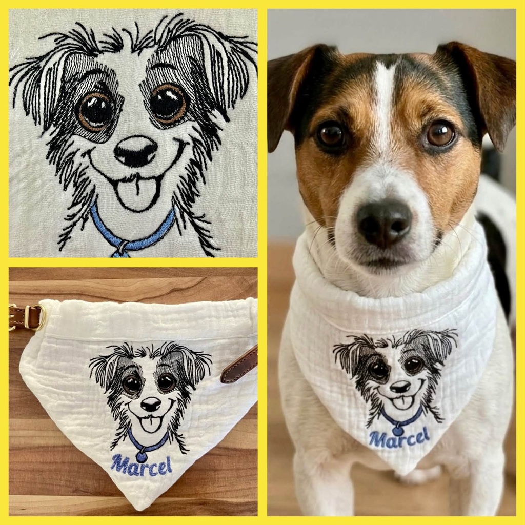 Jack Russell Dudule 4