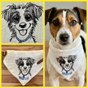 Jack Russell Dudule 4