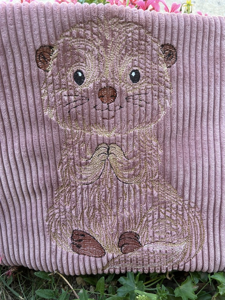 Loutre 2