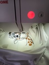 Géraldine la Girafe 4