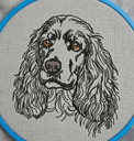 Cocker 3