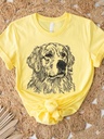 Golden Retriever 2