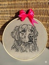Golden Retriever 3