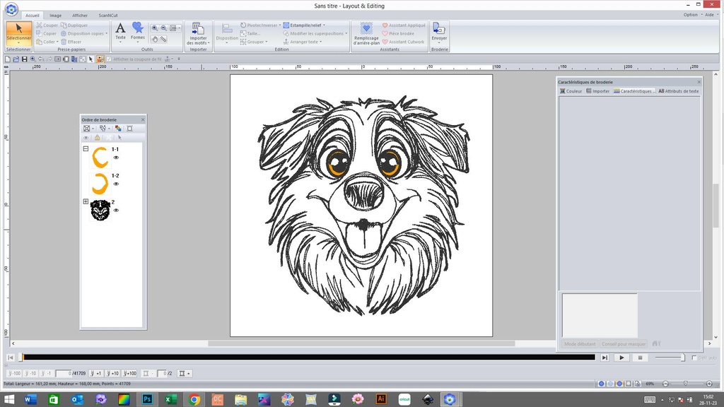 Border collie Ray 2