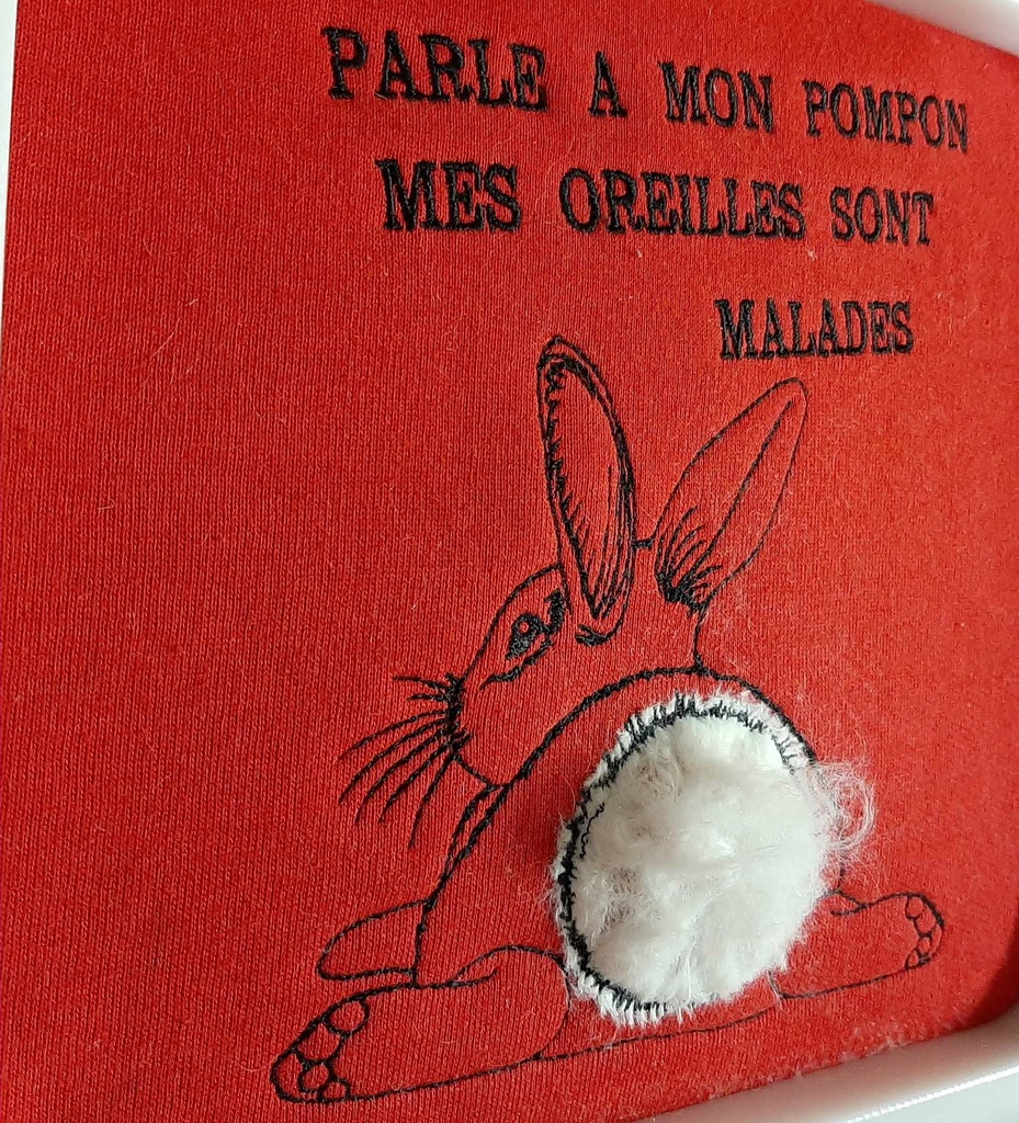 Parle à mon pompon mes oreilles sont malades 2