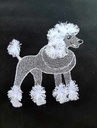 Pompon le caniche frange 2
