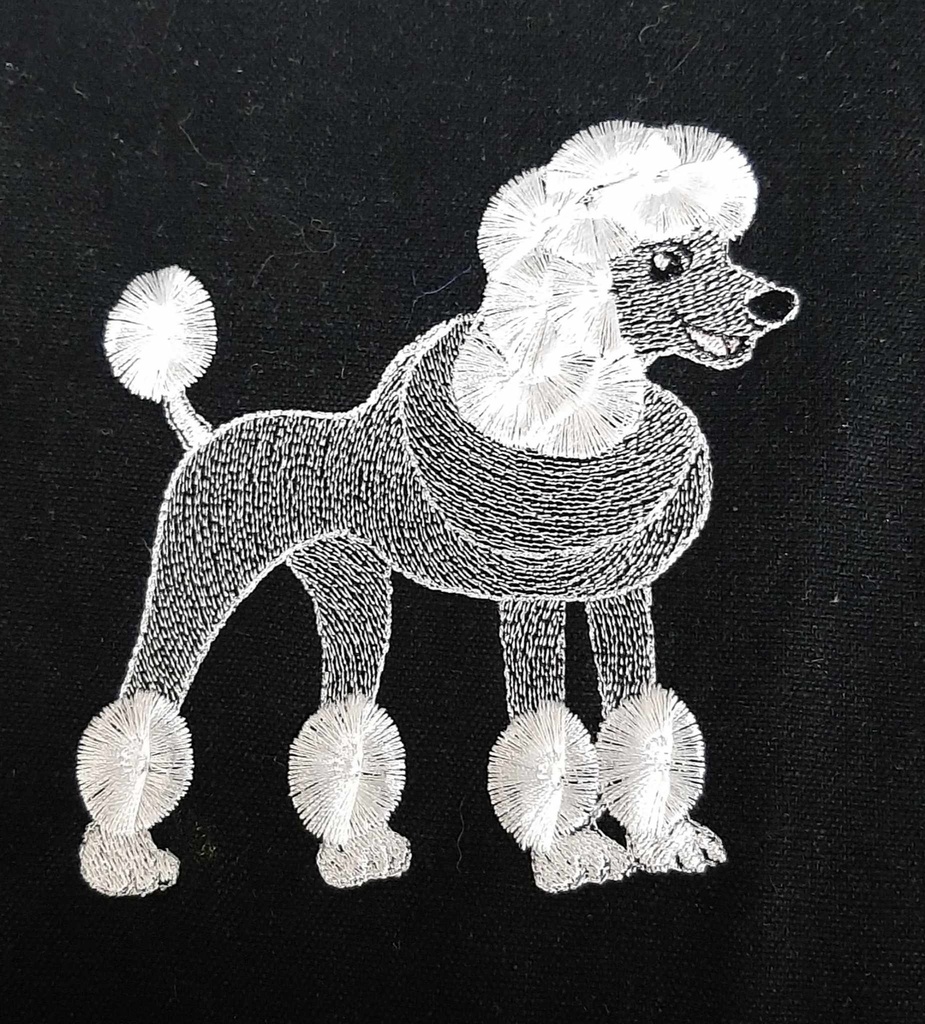 Pompon le caniche frange 3