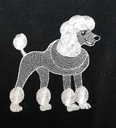 Pompon le caniche frange 3