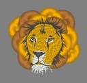 Le lion frangé 2