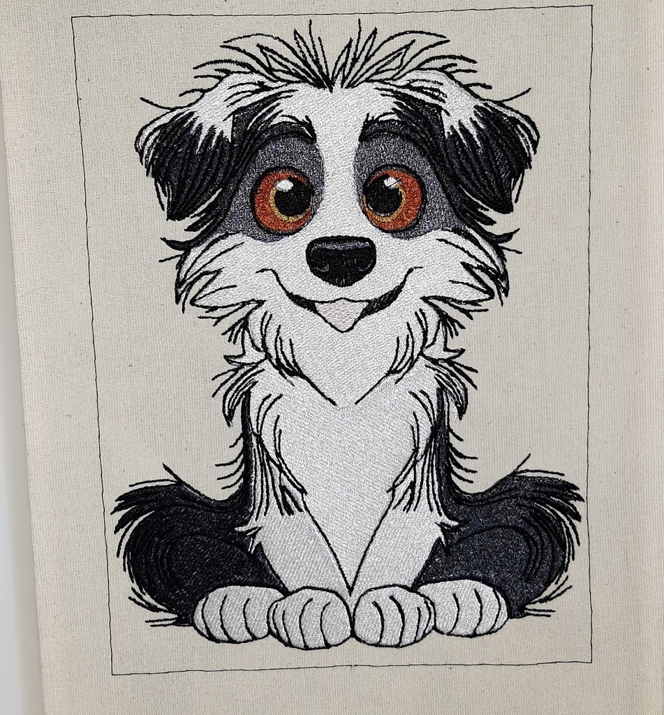 Bidule le border collie 2
