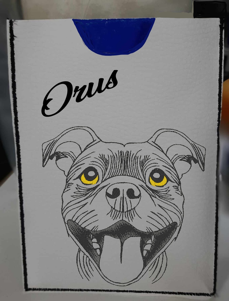 Fichier broderie pour protège carnet de santé 2