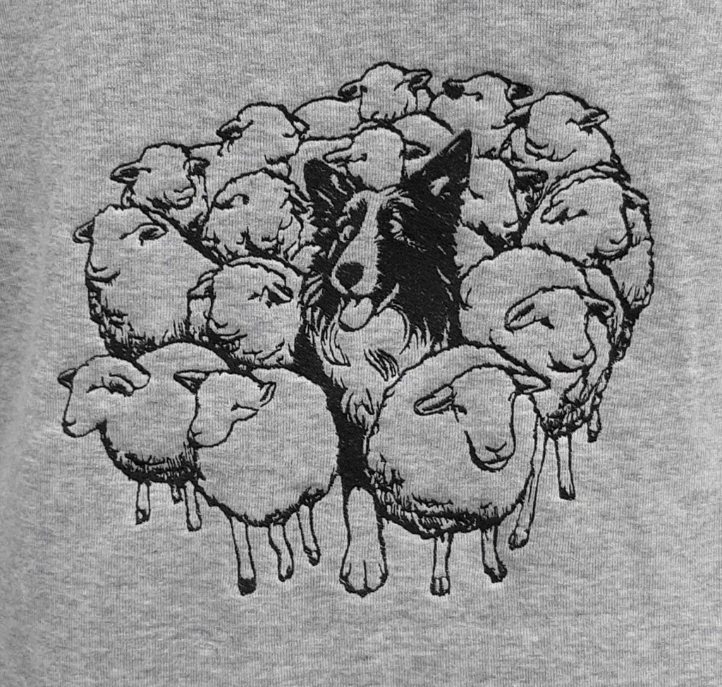Border collie et son troupeau 2