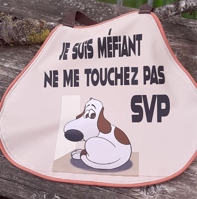 Gilet de sécurite chien timide 2