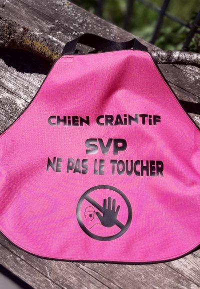 Gilet de sécurite pour chien en breaker teflon 3