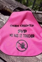 Gilet de sécurite pour chien en breaker teflon 3