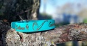 Collier gravé en PCV en 2 largeurs possible 4