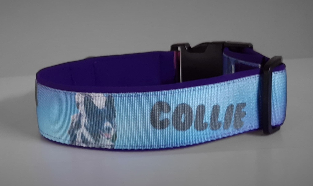 Collier réglable Néoprène avec ruban personnalisé avec photo de votre chien 4