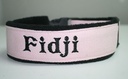 Collier Martingale Polaire avec Sangle de couleur (largeur 3 cm) 3