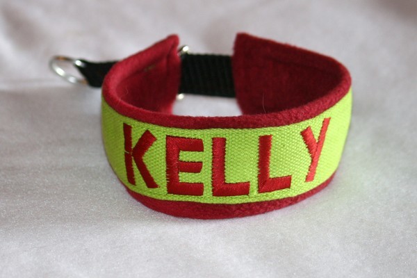 Collier Martingale Polaire avec Sangle de couleur (largeur 5 cm) 3