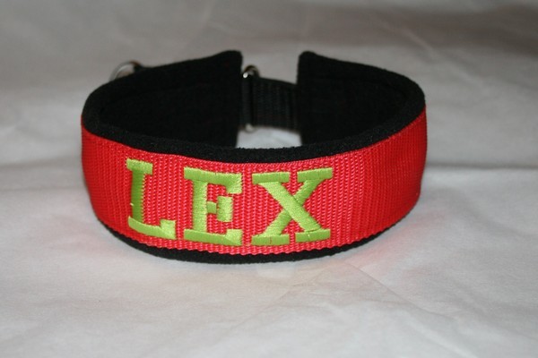 Collier Martingale Polaire avec Sangle de couleur (largeur 5 cm) 5