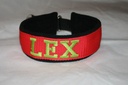 Collier Martingale Polaire avec Sangle de couleur (largeur 5 cm) 5