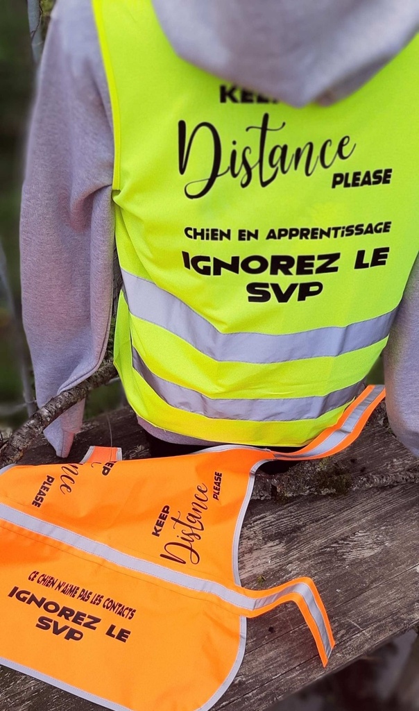 GILET RÉFLÉCHISSANT POUR CHIEN 4