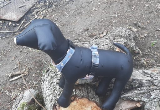 Harnais pour petits chiens 5