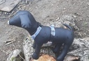 Harnais pour petits chiens 5