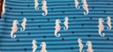 Harnais pour petits chiens 11