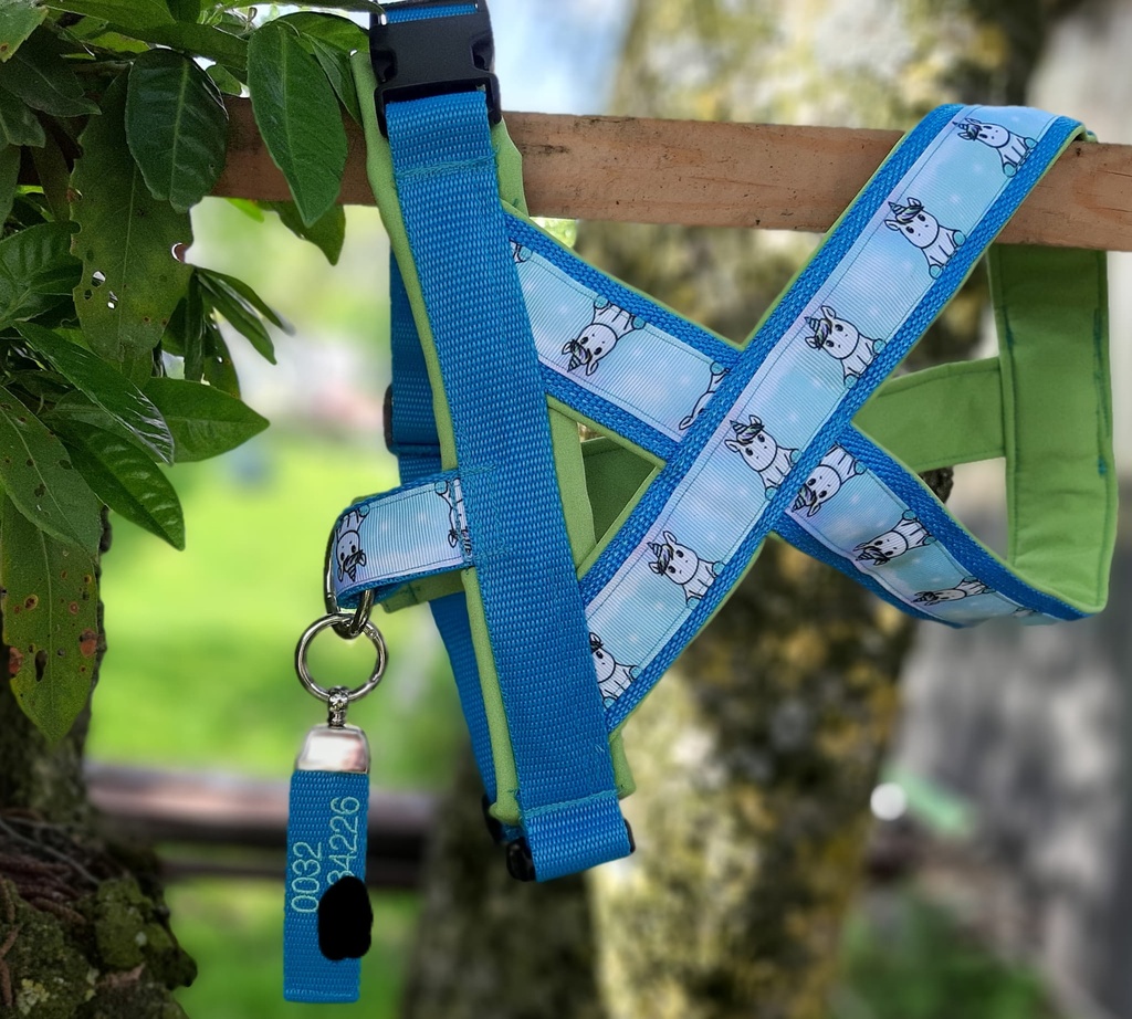 Porte clef ou identification du chien avec votre n° de téléphone 3