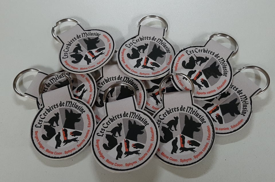 Porte clef logo 2