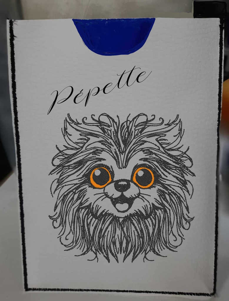 Pochette carnet de santé brodé en similicuir 3