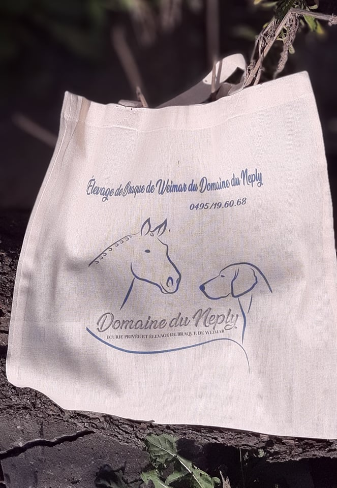 Tote Bag personnalisé 2
