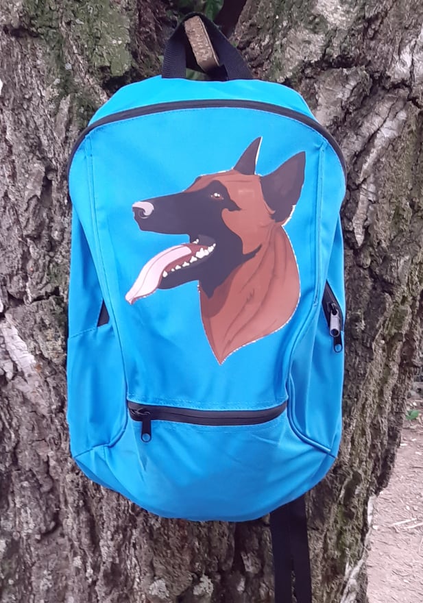 Sac à dos classique 2