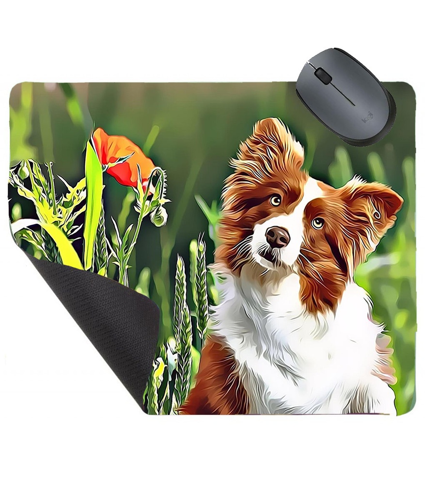 Tapis de souris personnalisé 2