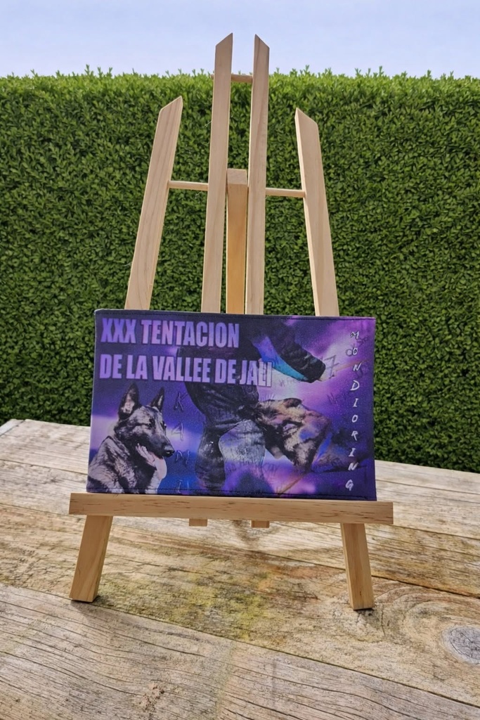 Protège carnet de travail imprimé 4