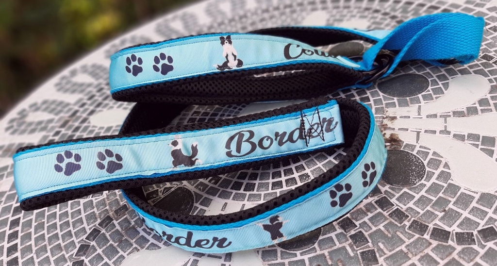Ensemble Laisse mousqueton/ Collier Martingale 2