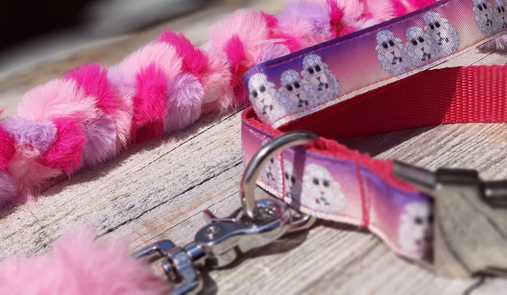 Ensemble Collier et sa Laisse fourrure folle 6