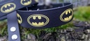 Ensemble Laisse/Collier Batman 2