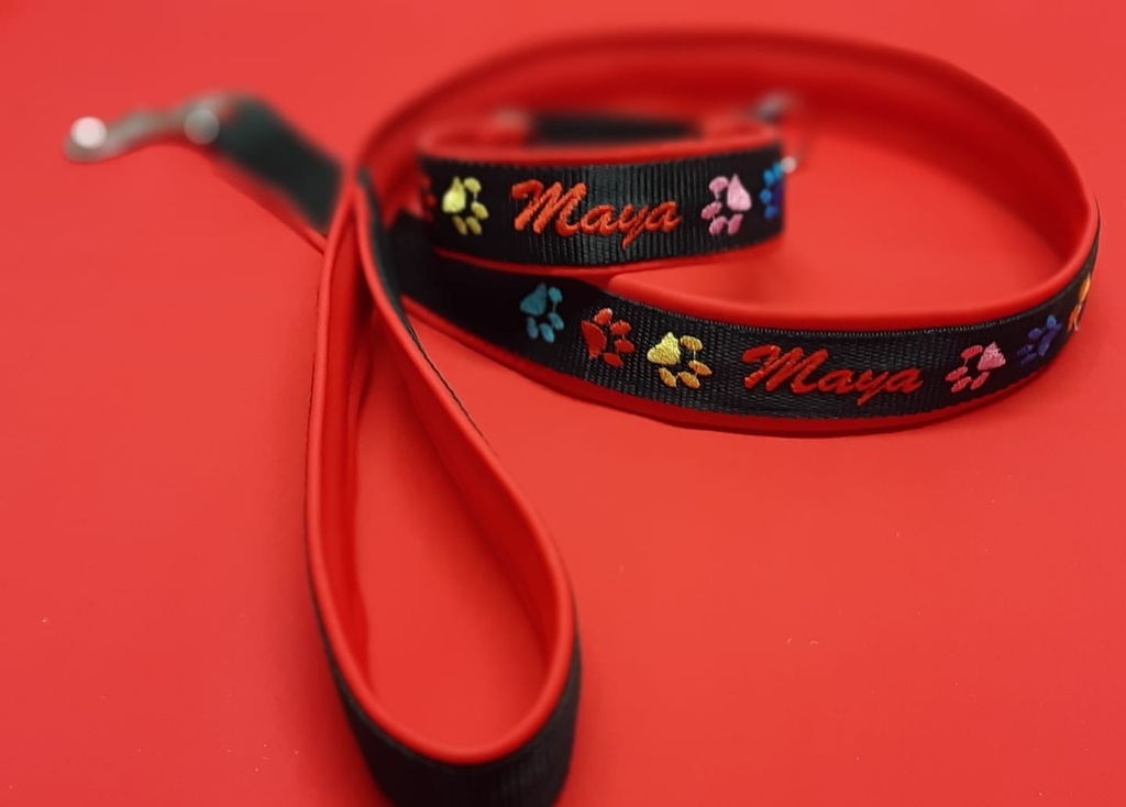 Ensemble pattes multicolores collier réglable et laisse assortie 2