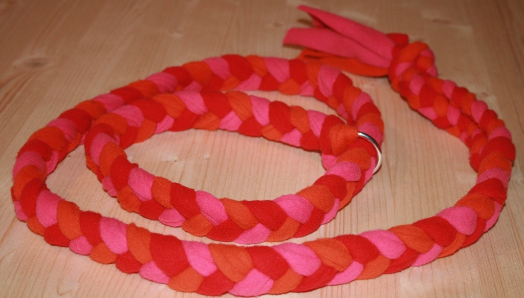 Laisse lasso polaire 3