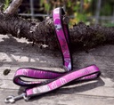 Laisse Border Collie obstacles agility 3