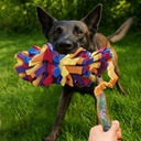 Boudin Snuffle 2