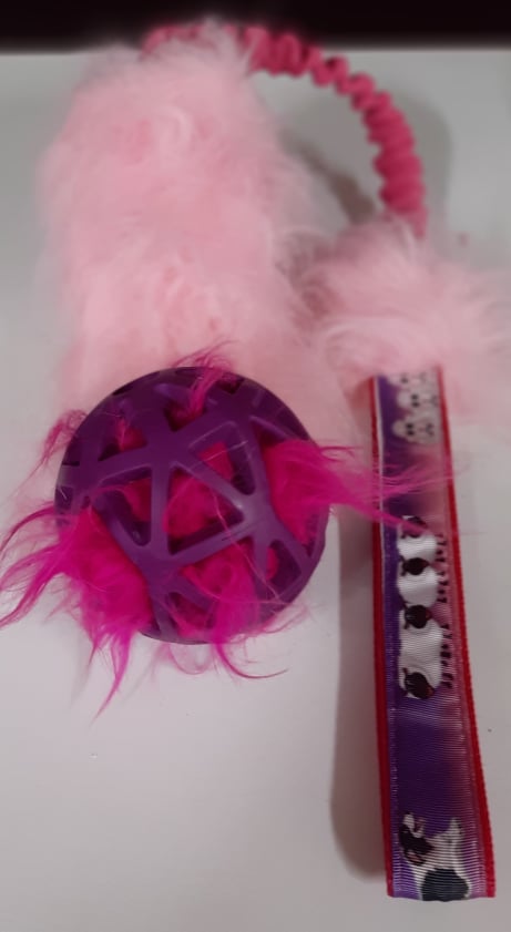 Tug Balle fourrure Pompon chiot 4