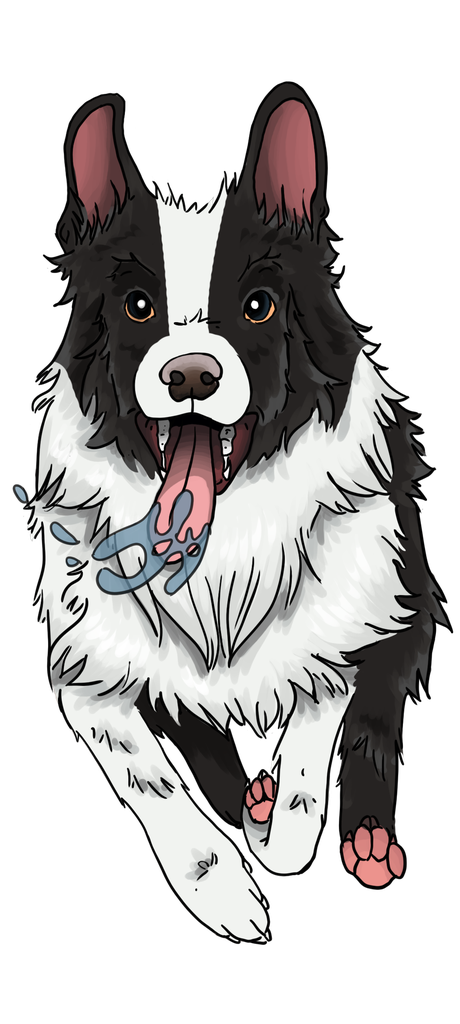 T-shirt Blanc+ race du chien 2